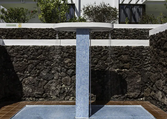 Coral Dreams 아데제